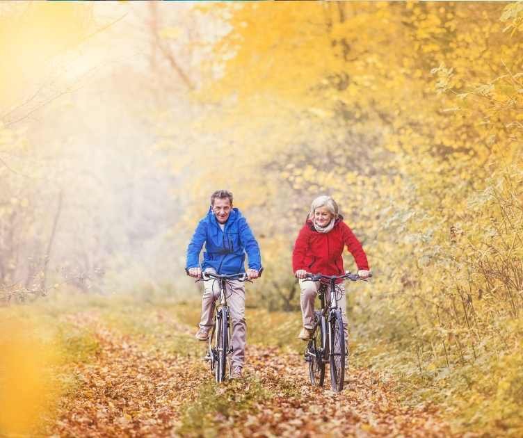 senior fitness videos for seniors