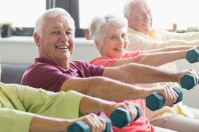 free senior fitness exercises